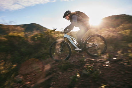 Top Rated Electric Bikes: A Detailed Guide
