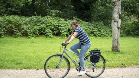 What Should I Know About a 48v Battery for Ebike