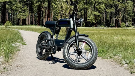 heavy-duty-e-bike