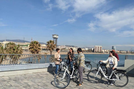 Guide to Ladies' Electric Bikes: Finding the Perfect Blend of Style, Comfort, and Power