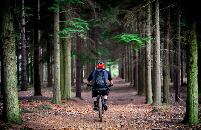 a man riding a bike surrounds with trees