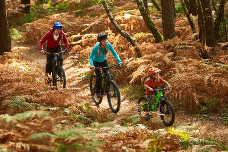 swinley-bike-trail