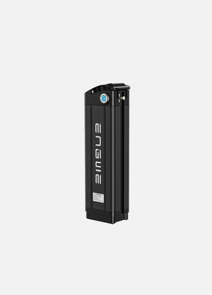 Battery 16Ah For L20