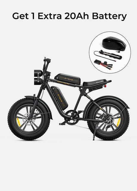 ENGWE M20
